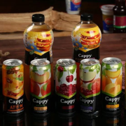 CAPPY KARIŞIK